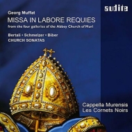 Misse In Labore Regules: Strobl / Cappella Murensis Les Cornets Noirs +bertali, Schmelzer, Biber