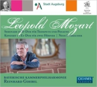 Orchestral Works : Goebel / Bayerischen Kammerphilharmonie