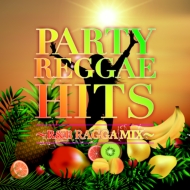 Various/Party Reggae Hitsr  B Ragga Mix