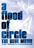 a flood of circle/Blue Movie-Ĥɤ!