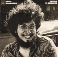 David Bromberg/Demon In Disguise 