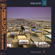 Momentary Lapse Of Reason: 鬱 : Pink Floyd | HMV&BOOKS online - SIJP25