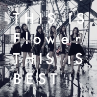THIS IS Flower  THIS IS BEST (2CD)