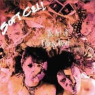 SOFT CELL 10 CD DVD BOX ソフト・セル マーク・アーモンド 212YGzldTHL._UF350,350_QL50_.jpg