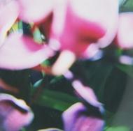 You Make Everything Disappear