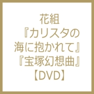 ミュージカル カリスタの海に抱かれて / レヴューロマン 宝塚幻想曲 : 宝塚歌劇団 | HMVu0026BOOKS online - TCAD465