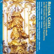 Regina Coeli-a Cappella Music: Kohlhaufl / Regensburger Motettenchor Regensburger Domspatzen