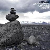 Null Device/While You Were Otherwise Engaged