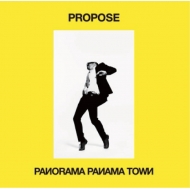 Panorama Panama Town/Propose
