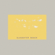 Slaughter Beach