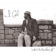 What Are We Looking For