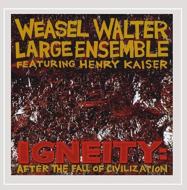 Igneity: After The Fall Of Civilization