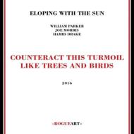 Eloping With The Sun/Counteract This Turmoil Like Trees ＆ Birds