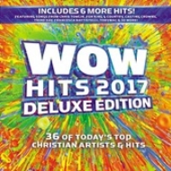 Various/Wow Hits 2017 (Dled)