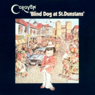 Blind Dog At St.dunstans
