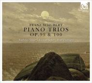 ピアノ三重奏曲第1番、第2番、ノットゥルノ　アンドレアス・シュタイアー、ダニエル・ゼペック、ロエル・ディールティエンス