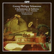Chalumeaux & Salterio -Overtures, Trios, Sonatas : Wolfgang Brunner / Salzburger Hofmusik