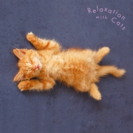 ԥ졼/ޤ뤴!ǭ(ˤ㡼) Relaxation With Cats