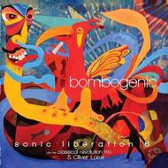 Bombogenic