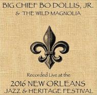 Big Chief Bo Jr Dollis / Wild Magnolia/Live At Jazzfest 2016