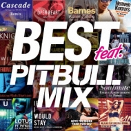 Various/Best Feat -pitbull Mix-