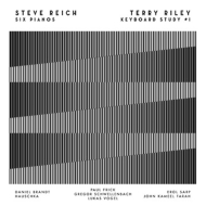 Gregor Schwellenbach / Hauscka / Daniel Brauer / Paul Frick / Erol/Steve Reich Six Pianos / Terry Ri