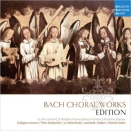 Mass in B, Matthaus, Johannes-Passion, Weihnachts-Oratorium : Leonhardt / S.Kuijken / S-Garden / (10CD)