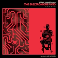 Adrian Younge/Electronique Void Black Noise