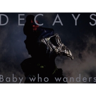 DECAYS/Baby Who Wanders (B)(+brd)(Ltd)