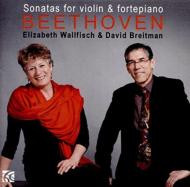 Violin Sonata, 6, 7, 8, 9, 10, : E.wallfisch(Vn)Breitman(Fp)