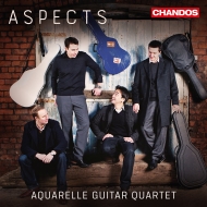 *˥Х*/Aspects Aquarelle Guitar Quartet