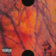Schoolboy Q/Blank Face Lp