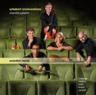 Schubert (Re)inventions: Rummel(Vc)Mesirca(G)Langmayr(S)Ensemble Paladino