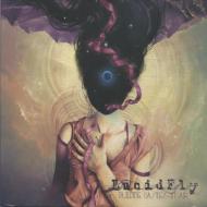 Lucid Fly/Building Castles In Air