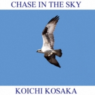 乬/Chase In The Sky
