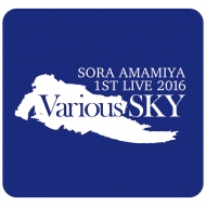 ���X�g�o���h 2��� / Various Sky