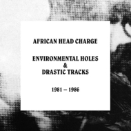 African Head Charge/Environmental Holes ＆ Drastic Tracks： 1981-1986