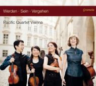 Vienna Pacific Q: Werden Sein Vergehen-qY, Haydn, Webern, Derungs