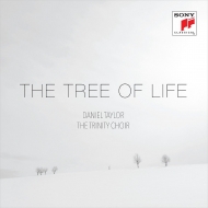 ꥹޥ/The Tree Of Life D. taylor(Ct) Trinity Cho