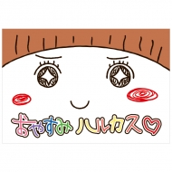 �ˏ�� ���J�o�[ Mr04