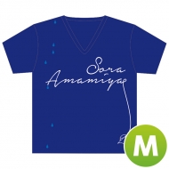 �J�{�V(M)t�V���c Mr04