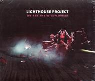 Lighthouse Project/We Are The Wildflowers