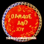 Damage & Joy