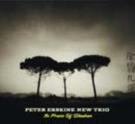 Peter Erskine/In Praise Of Shadows