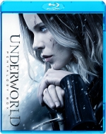 �A���_�[���[���h �y���^���W�[ �u���[���Cbox