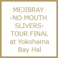 -NO MOUTH SLIVERS-TOUR FINAL Yokohama Bay Hall