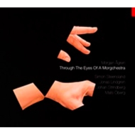 Morgan Agren/Through The Eyes Of Morgchestra