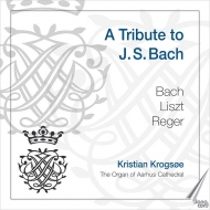 Organ Classical/A Tribute To J. s.bach-j. s.bach Liszt Reger： Krogse(Organ)