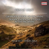 パガニーニによる超絶技巧練習曲、パガニーニによる大練習曲、『ヴェニスの主題』による変奏曲　ヴォイチェフ・ヴァレチェク