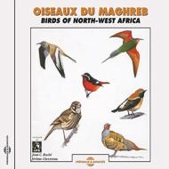 Oiseaux Du Maghreb: Birds Of North -West Africa